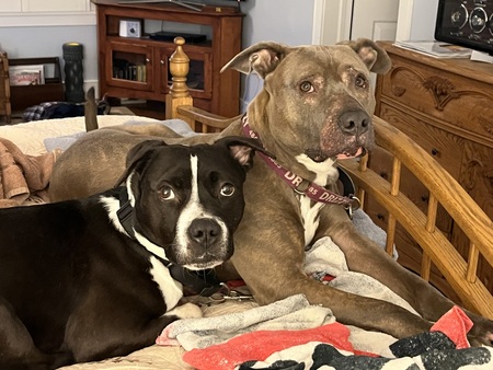 Drizz and Rexx