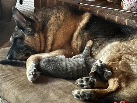 Love the one you’re with. 