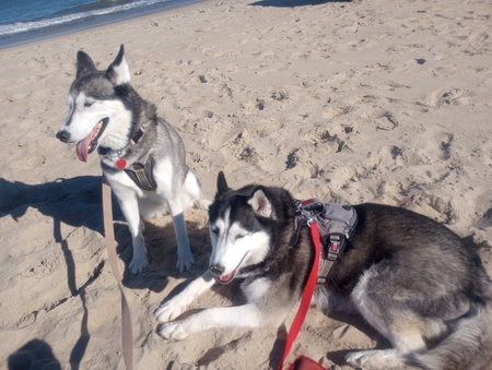 Wait! This Isn't Snow!