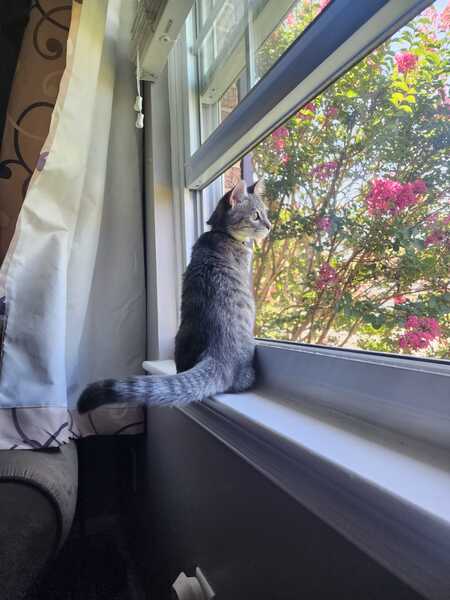 Beautiful View
