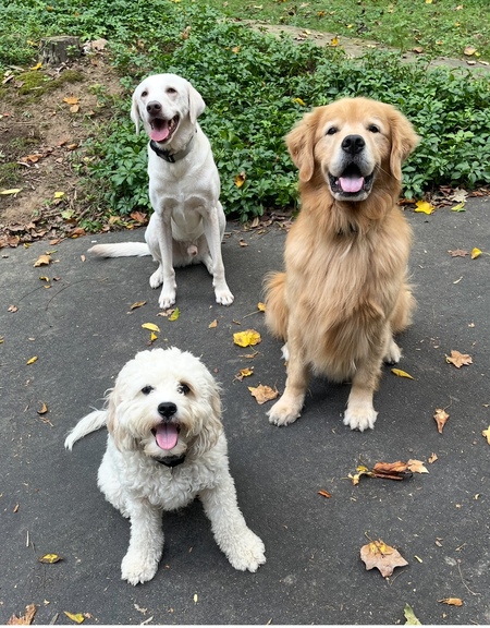 The Three Musketeers
