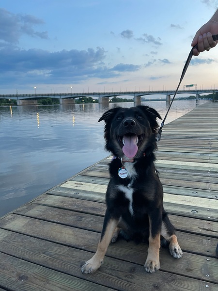 King of the Anacostia 