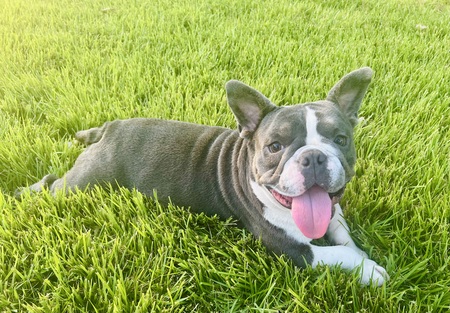 Tesla living the life she deserves!