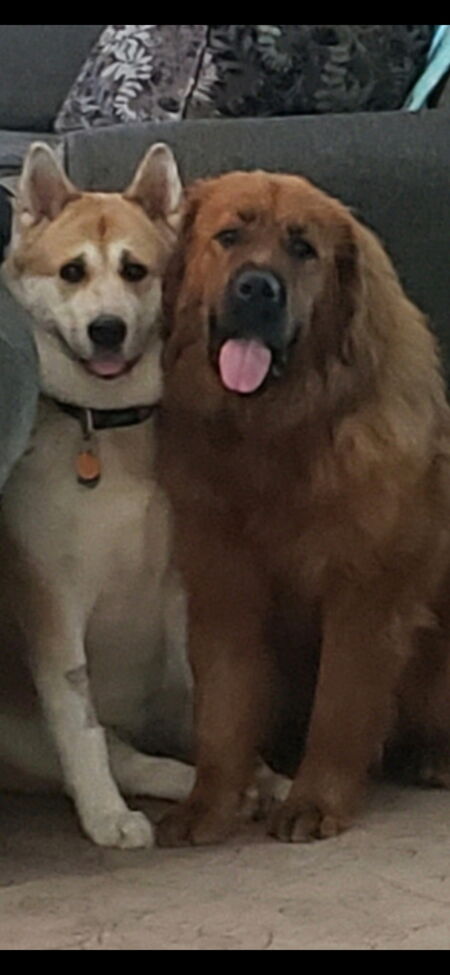 Darby and Clifford