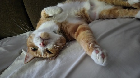 Reach out and touch 