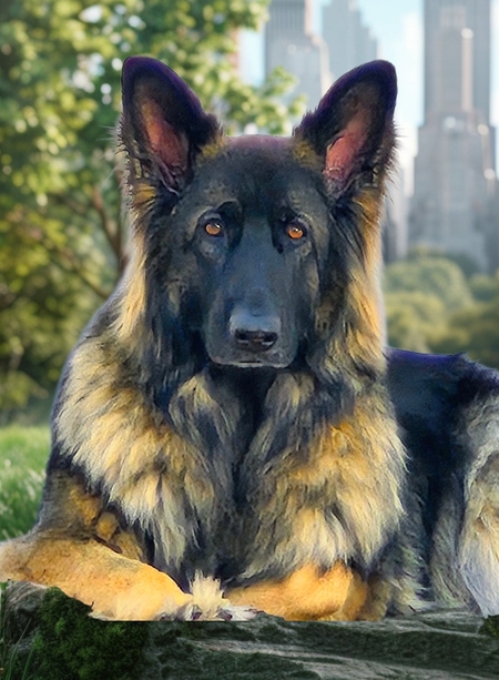 Beauty at its best