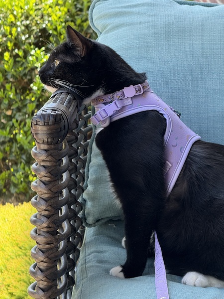 Entry image for Curious Kairi. Clicking this image will show a larger photo