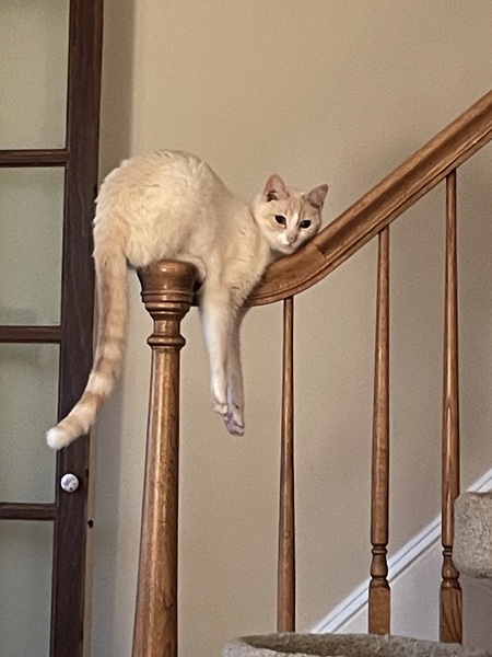 Entry image for Just hanging around . Clicking this image will show a larger photo