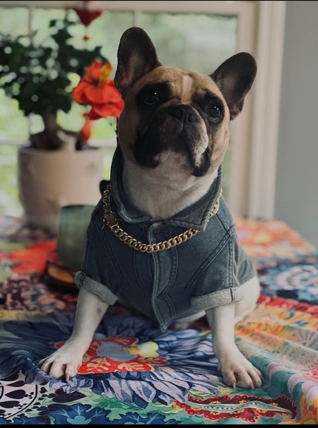 Rocko