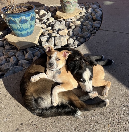 Kalena and KonaCoffee