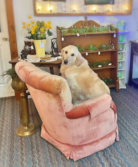 Winnie Rose 