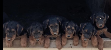 Entry image for The kids. Clicking this image will show a larger photo