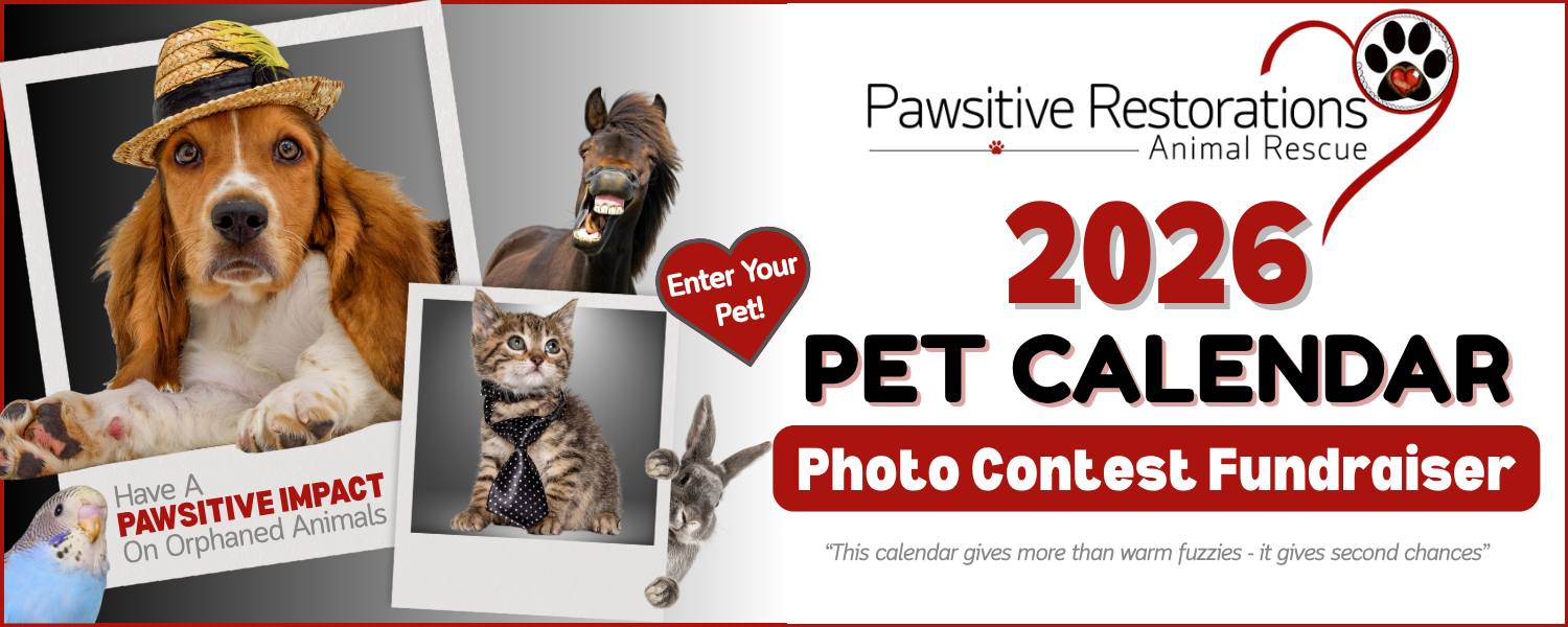Banner for Pawsitive Restorations Animal Rescue’s 2026 ‘Pawsitive Impact’ Calendar