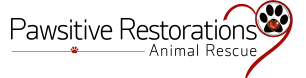 Logo for Pawsitive Restorations Animal Rescue’s 2026 ‘Pawsitive Impact’ Calendar