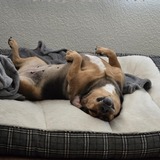 Entry image for Maggie