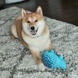 Entry image for Kai