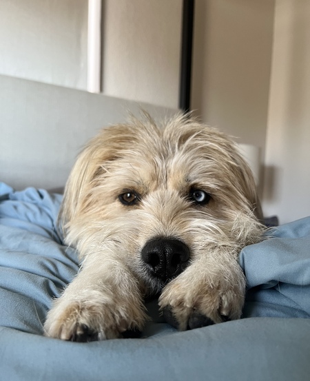 Entry image for Max. Clicking this image will show a larger photo