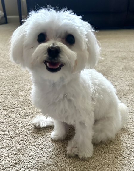 Entry image for Charlie. Clicking this image will show a larger photo