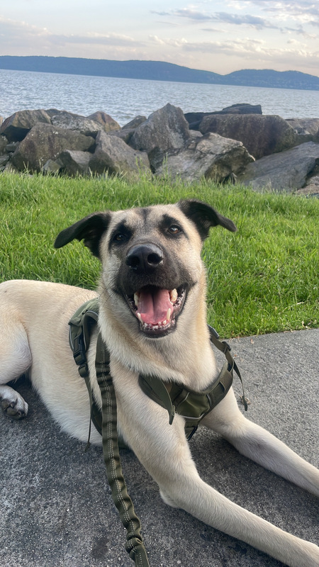 Charlie 