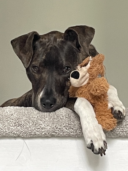 Fiona