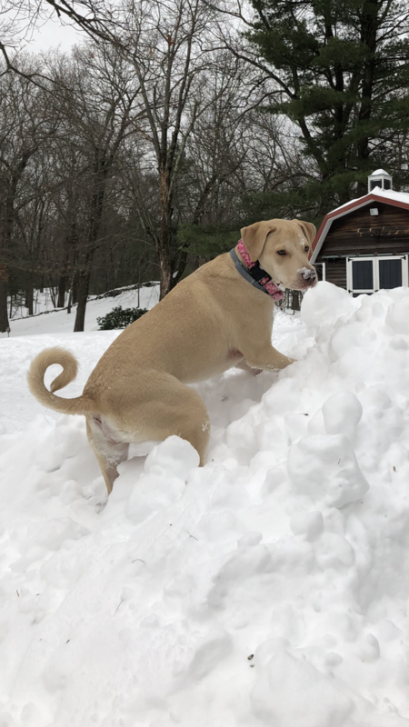 Molly 