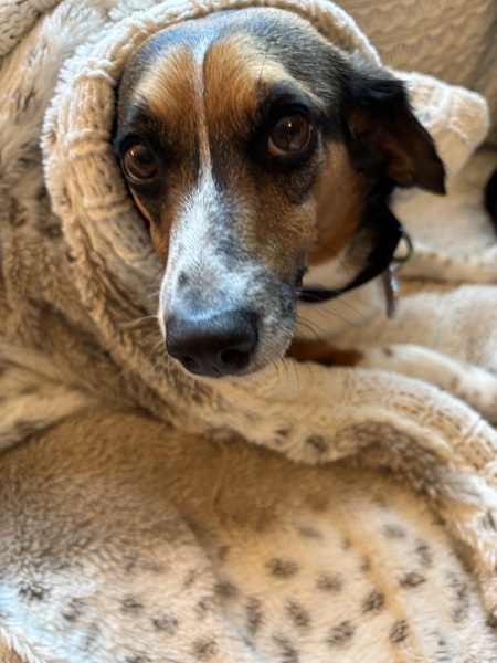 Maggie Mae