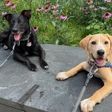 Entry image for Weezy & Kaya