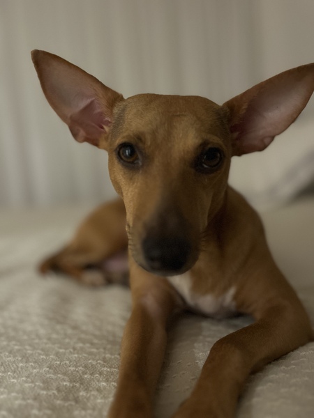 Chloe