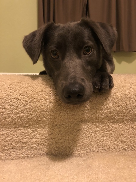 Luna