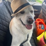 Entry image for Spud
