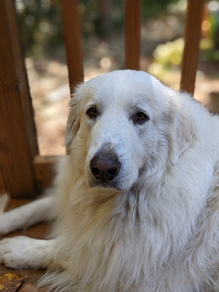 Entry image for Charlotte . Clicking this image will show a larger photo