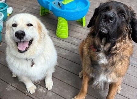 Entry image for Dublin (the Pyr) & Guinness (the not-Pyr). Clicking this image will show a larger photo