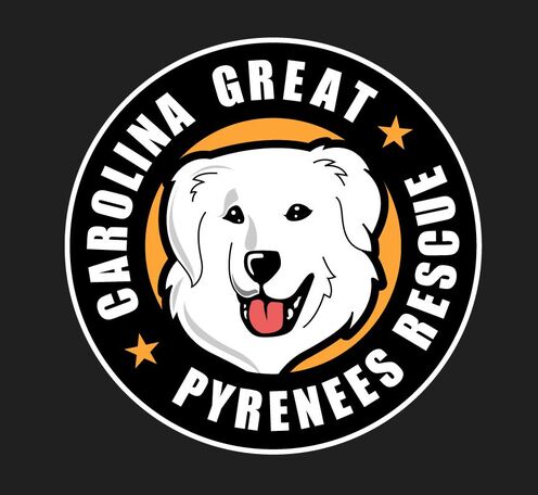 CGPR Logo on Black