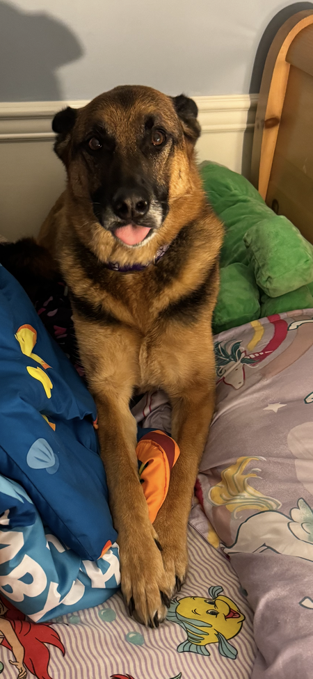 Penny