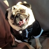 Entry image for Oliver James