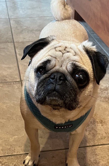 Ellie