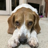 Entry image for Maggie