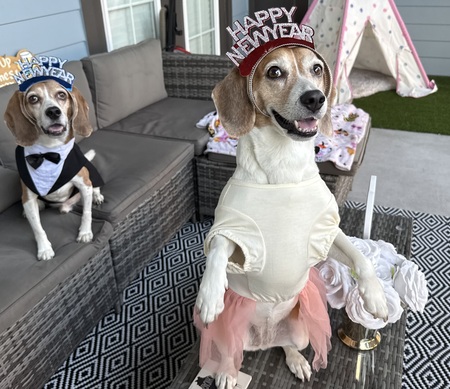 Boomer and Bella