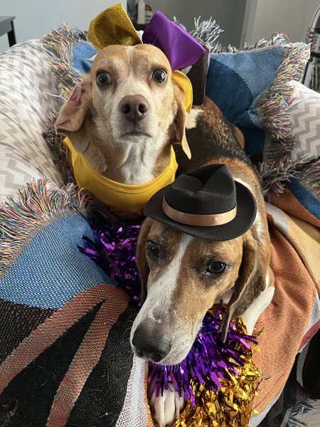 Entry image for Buffy and Indy. Clicking this image will show a larger photo
