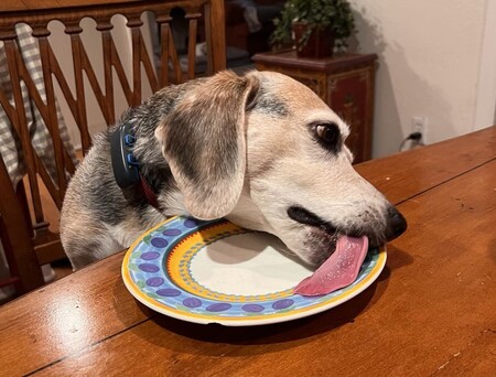 Entry image for Sweetie Petey. Clicking this image will show a larger photo