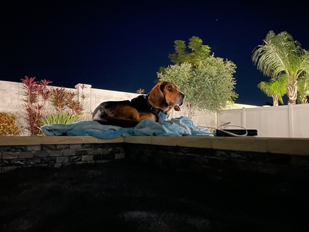 Entry image for Tucker. Clicking this image will show a larger photo