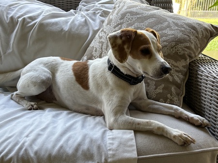 Entry image for Charlie. Clicking this image will show a larger photo