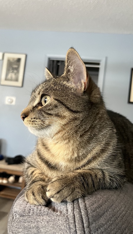 Juno
