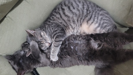 Cali and Wyatt 