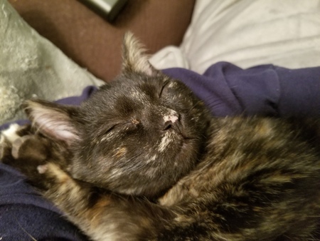 Luna