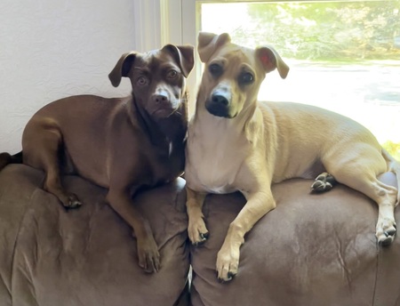 Kodak & Bentley