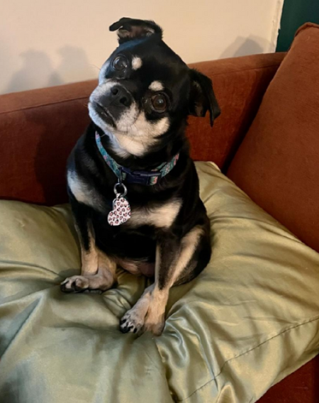 Bella