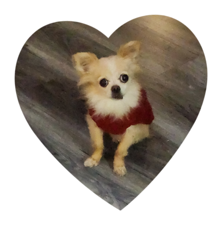 Tootsie  