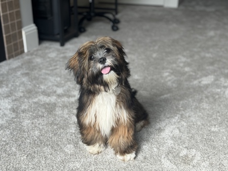Tater