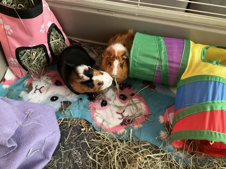 Brooke and Millie